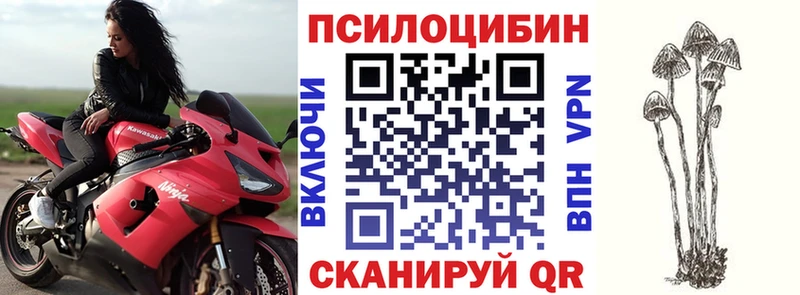 Галлюциногенные грибы Cubensis  Мамадыш 
